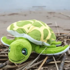 Mjukdjur sköldpadda Konna