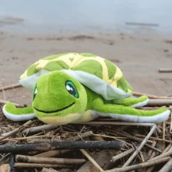 Mjukdjur sköldpadda Konna