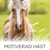 Motiverad häst - inlärning, beteende och kommunikation