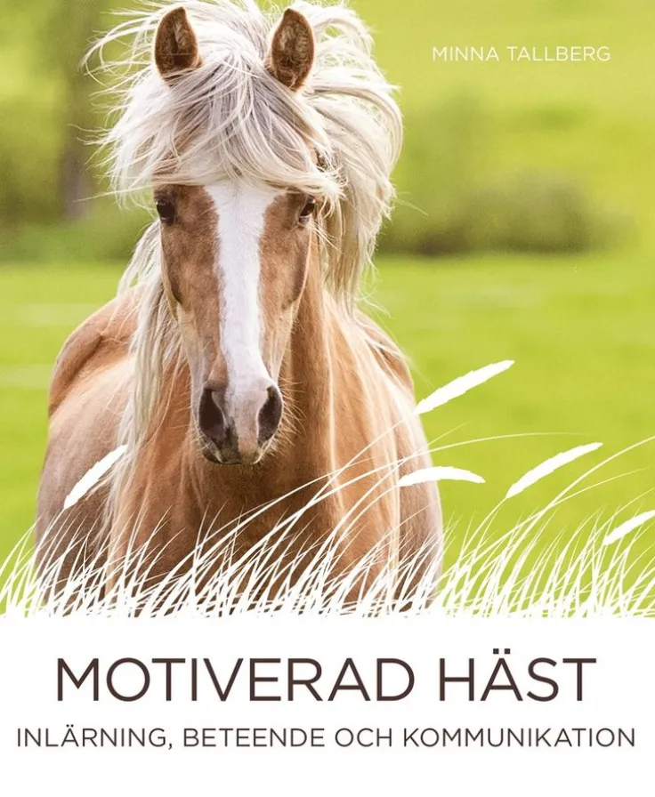 Motiverad häst - inlärning, beteende och kommunikation