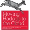 Moving Hadoop in the Cloud