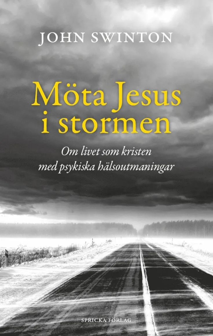 Möta Jesus i stormen : om livet som kristen med psykiska hälsoutmaningar