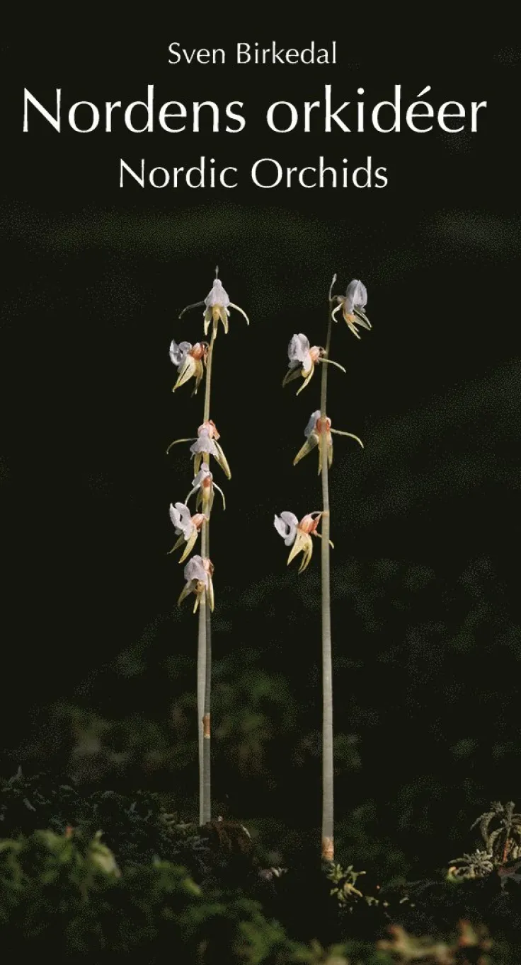 Nordens orkidéer : en fältguide / Nordic Orchids : a field guide