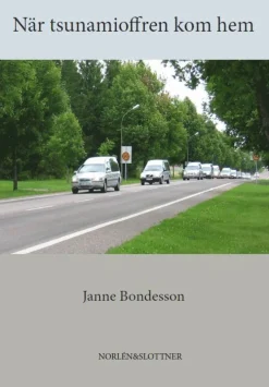 När tsunamioffren kom hem
