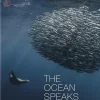 Ocean Speaks