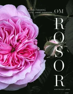 Om rosor