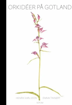 Orkidéer på Gotland
