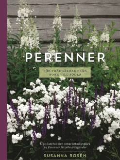 Perenner för trädgårdar från norr till söder