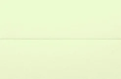 Placeringskort dubbla 10-pack lime