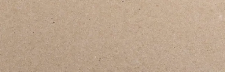 Placeringskort enkla 10-pack kvist