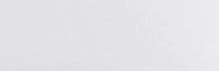 Placeringskort enkla 10-pack pärlemor