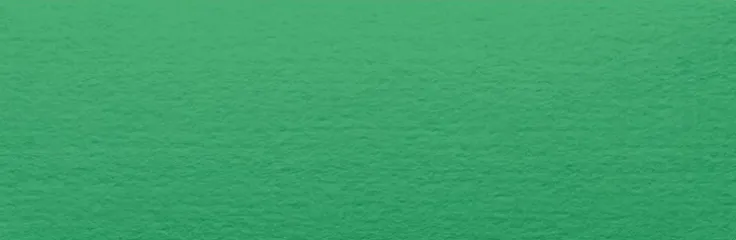 Placeringskort enkla 10-pack gräsgrön