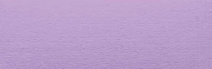 Placeringskort enkla 10-pack ljuslila