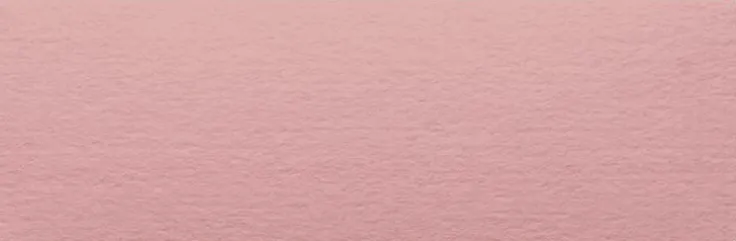 Placeringskort enkla 10-pack dimrosa