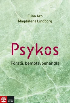 Psykos : förstå, bemöta, behandla