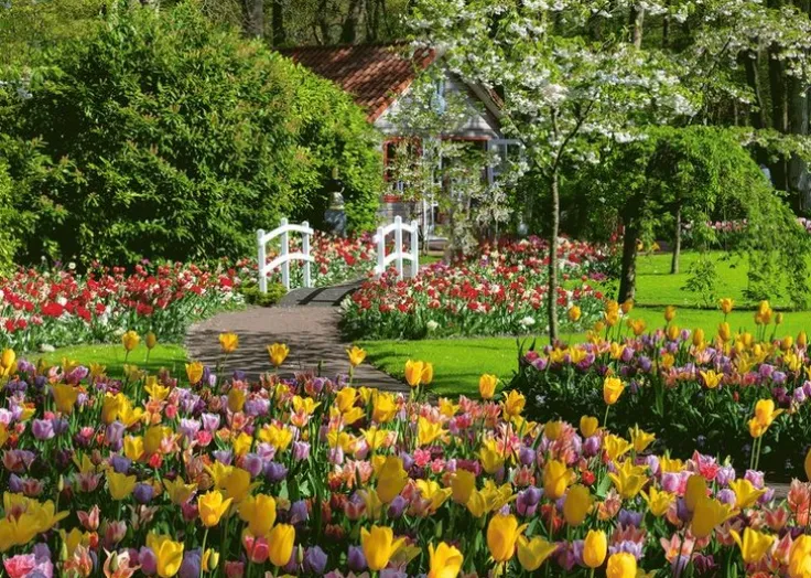 Pussel 1000 bitar - Keukenhof Gardens