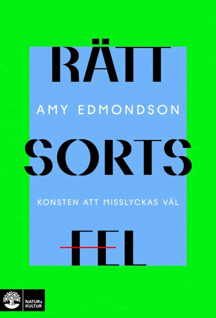 Rätt sorts fel : konsten att misslyckas väl