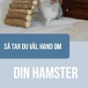 Så tar du väl hand om din hamster