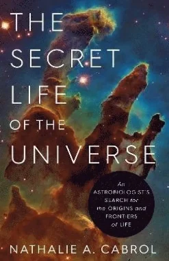 Secret Life of the Universe