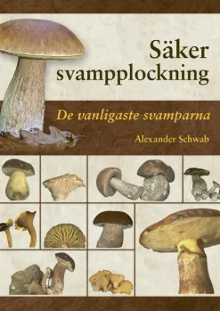 Säker svampplockning : de vanligaste svamparna