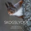 Skogslycka : tips för möten i skogens gläntor