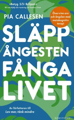 Släpp ångesten, fånga livet : övervinn oro och ängslan med metakognitiv terapi