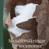 Socialförsäkringar för socionomer
