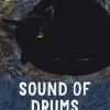 Sound of Drums