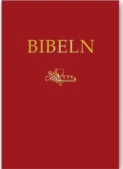 Storstilsbibel SFB15, A4, röd skinnimitation