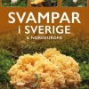 Svampar i Sverige och Nordeuropa