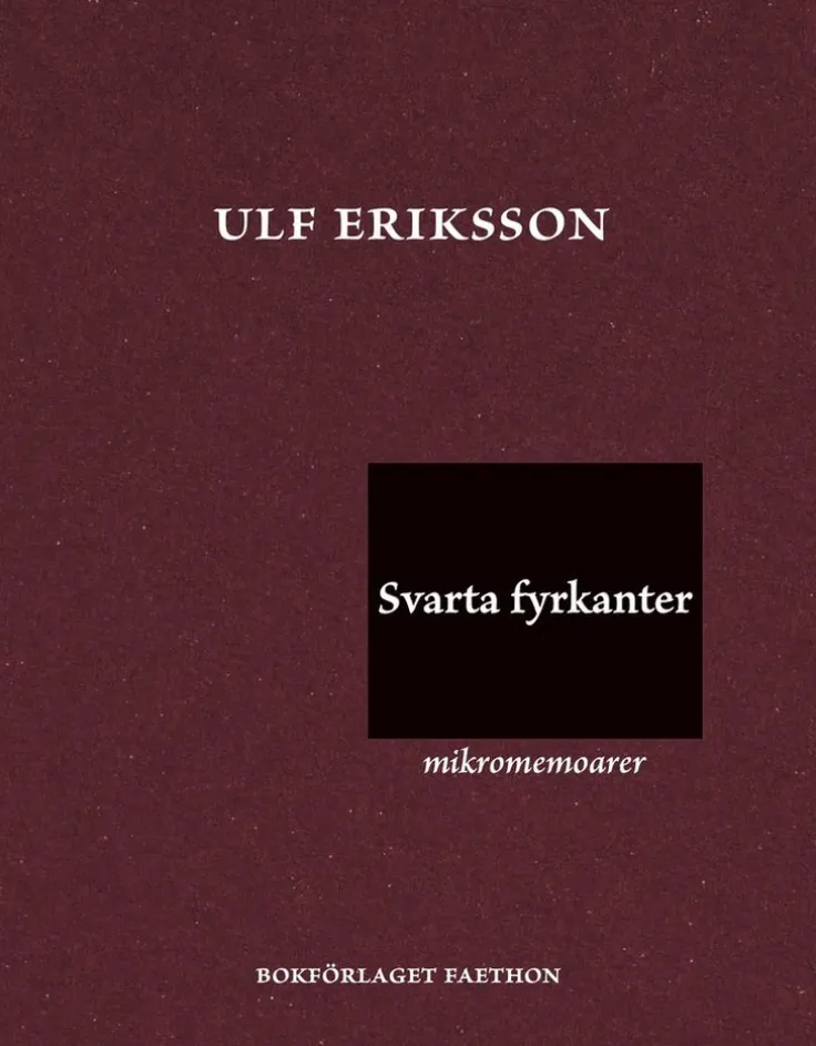 Svarta fyrkanter : mikromemoarer