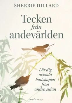 Tecken från andevärlden : lär dig avkoda budskapen från andevärlden