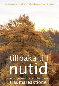 Tillbaka till nutid