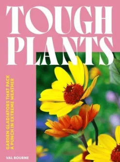 Tough Plants