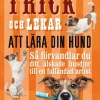 Trick och lekar att lära din hund : så förvandlar du ditt älskade husdjur..