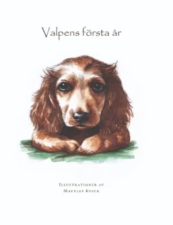 Valpens första år