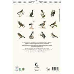 Väggkalender 2026 Fåglar