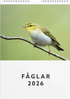 Väggkalender 2026 Fåglar