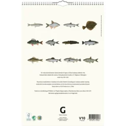 Väggkalender 2026 Fiskar