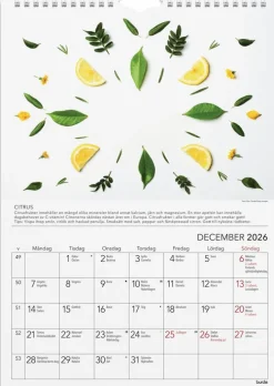 Väggkalender 2026 Gröna tips