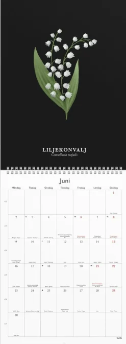 Väggkalender 2025 Illustrerad blomster