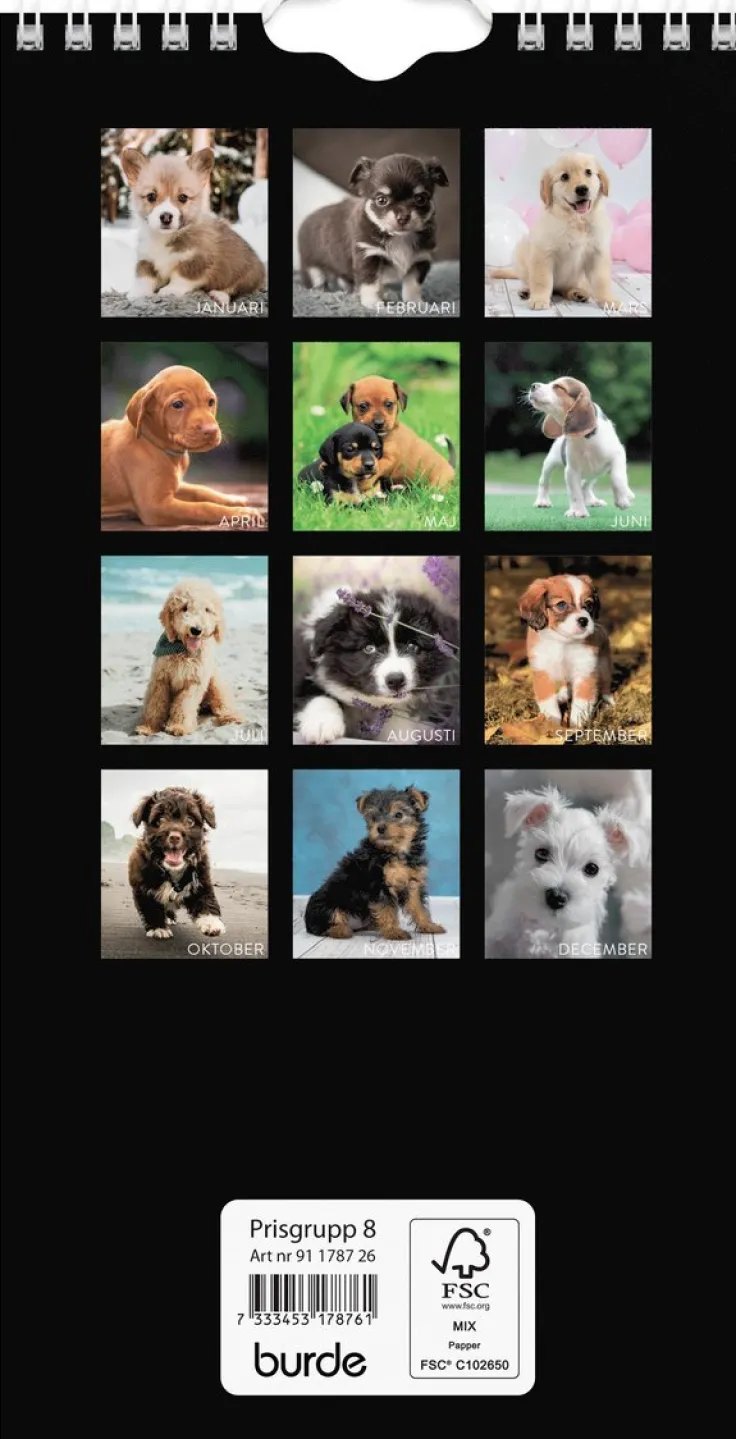 Väggkalender 2026 Liten Hundkalender