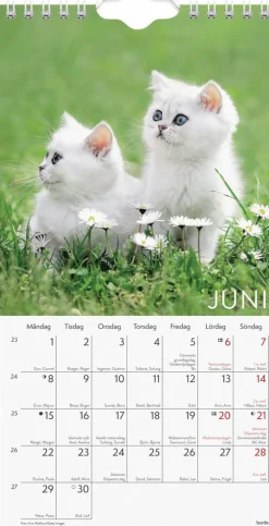 Väggkalender 2026 Liten Kattkalender