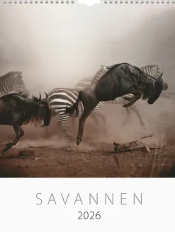 Väggkalender 2026 Savannen