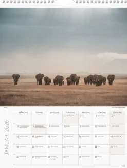 Väggkalender 2026 Savannen