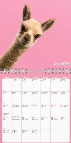 Väggkalender 2025 Sötnosar