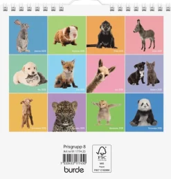 Väggkalender 2025 Sötnosar