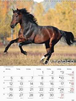 Väggkalender 2026 Stora Hästkalendern