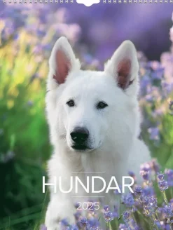 Väggkalender 2025 Stora Hundkalendern