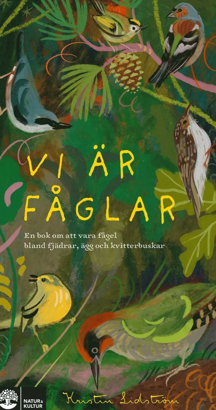 Vi är fåglar : en bok om att vara fågel bland fjädrar, ägg och kvitterbuskar
